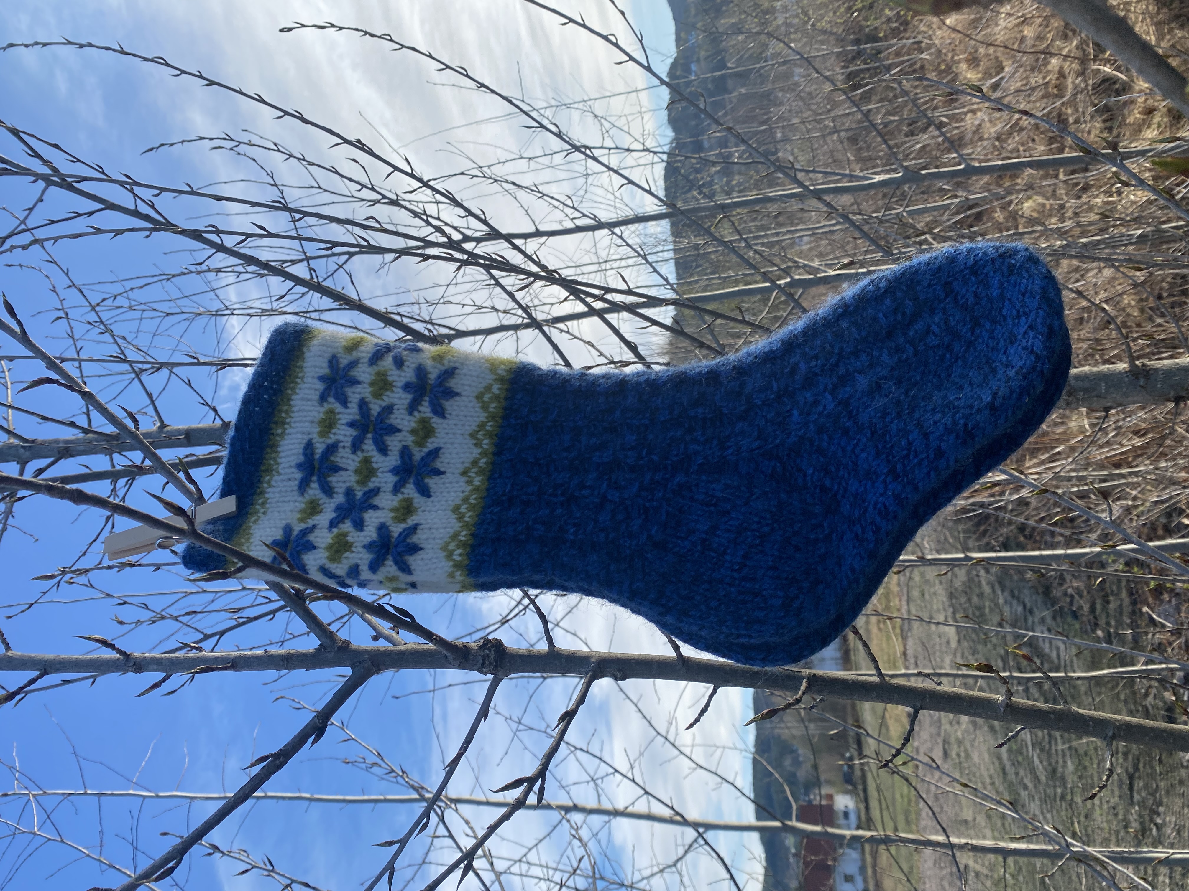 WefringsdesignBlåveis 