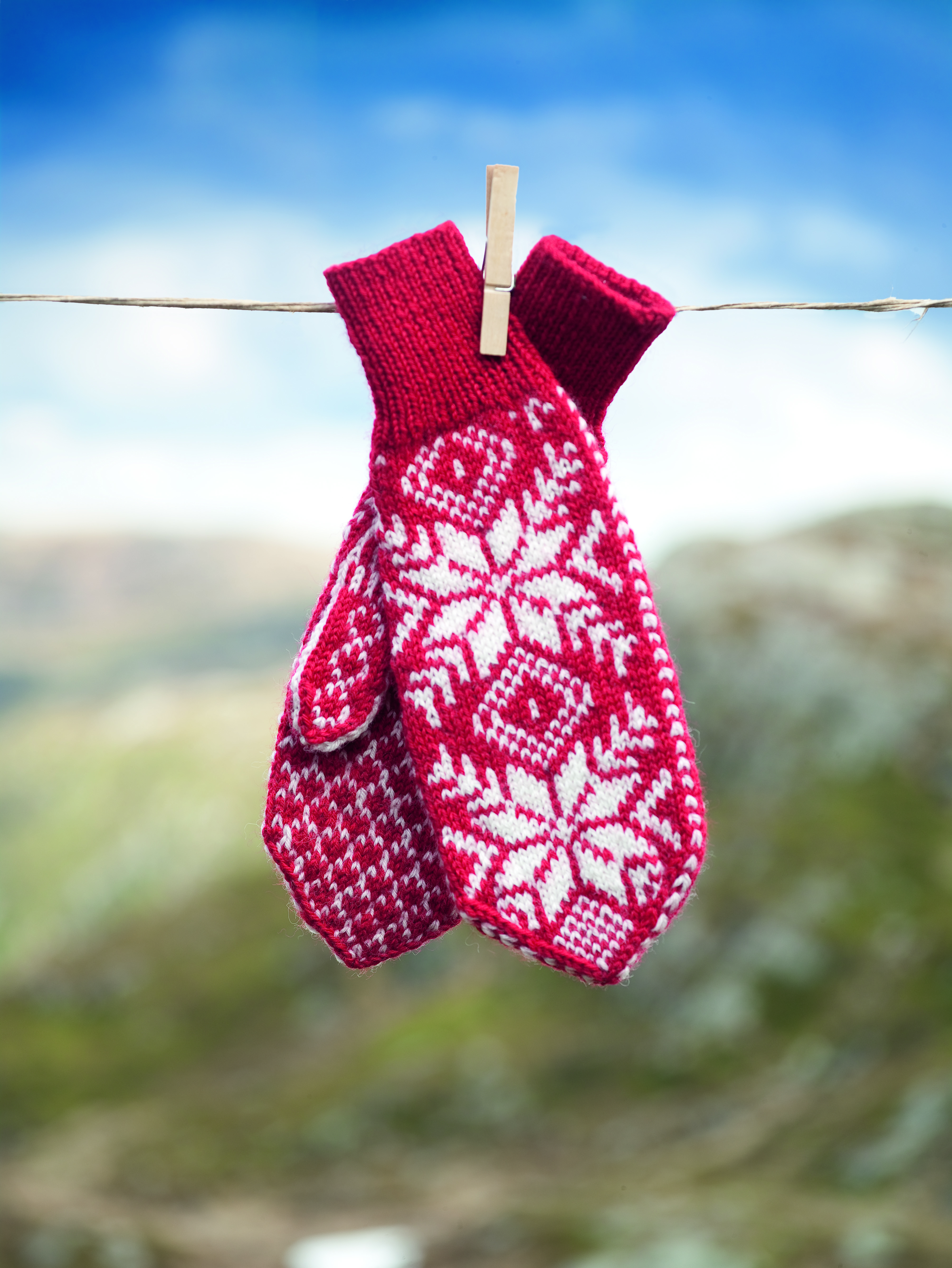 Dale DesignStjerne votter