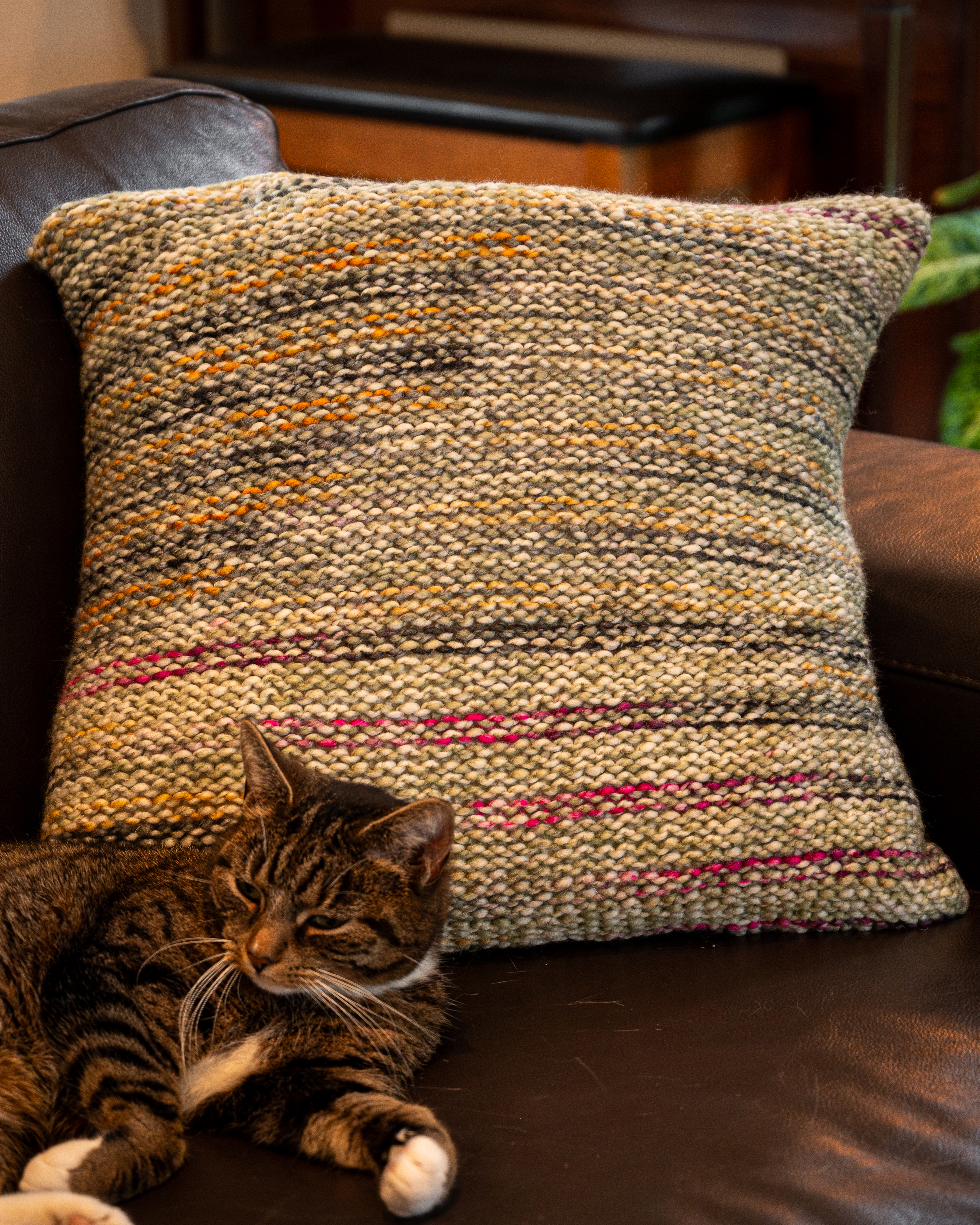 Ane Kydland ThomassenVera Pute