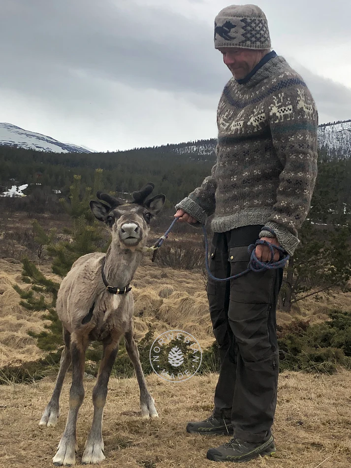 NaturgullReinsdyr genser