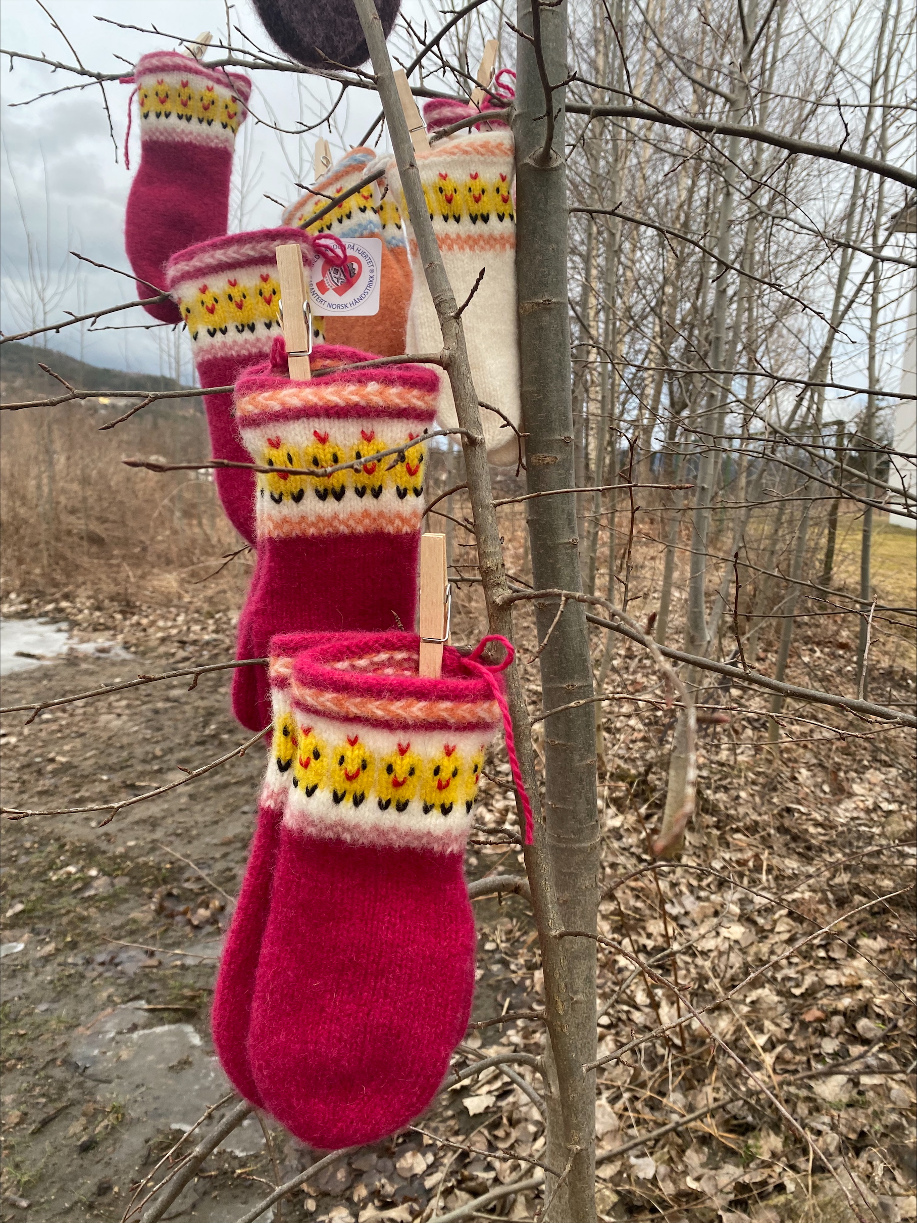 WefringsdesignKyllingvotter