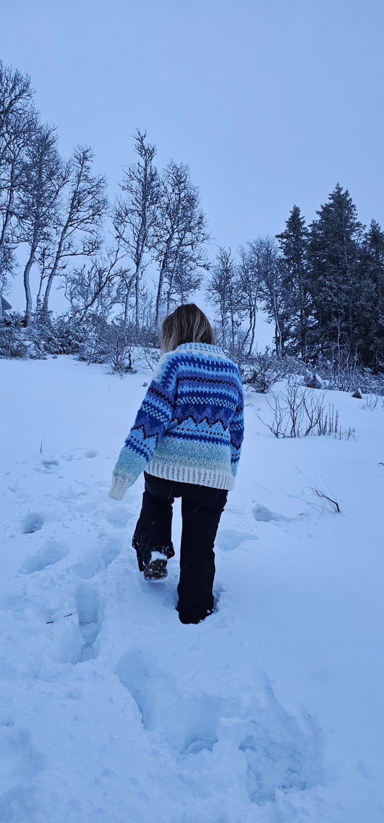 Bilde av oppskrift