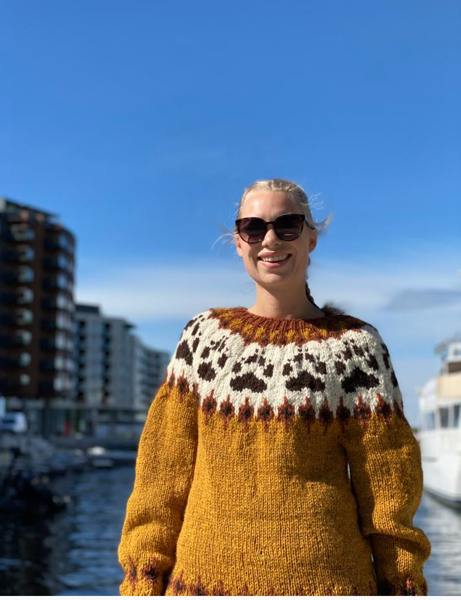 Linka NeumannVillmarksgenser garnpakke, designet av Linka Neumann